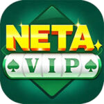 Neta VIP app icon