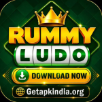 Rummy Ludo app icon