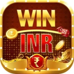 Win INR app icon